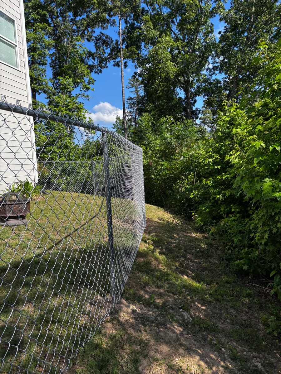 Chainlink Fences for Alpine Fence in Dahlonega, GA
