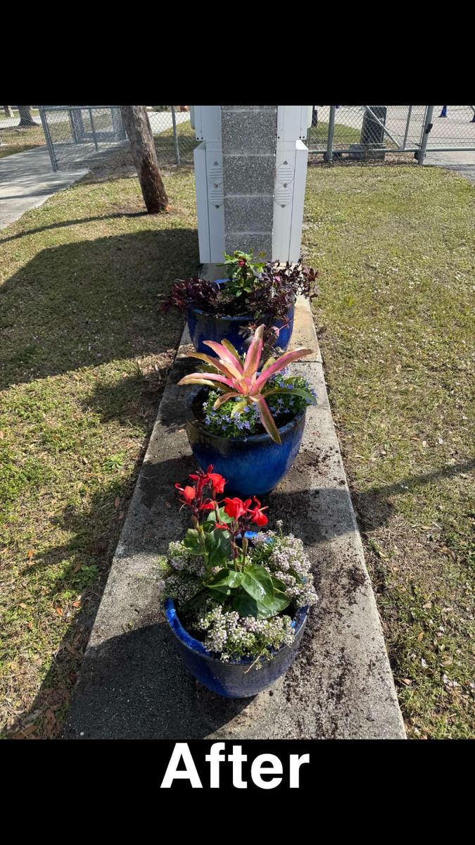 Landscaping for Rize N’ Grind  in Punta Gorda, FL