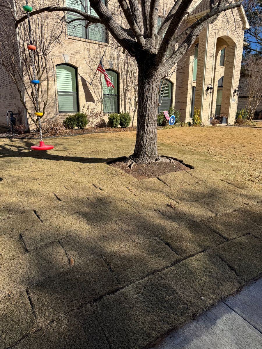 Lawn Maintenance for Stonewood Outdoor Services in Fort Worth, TX