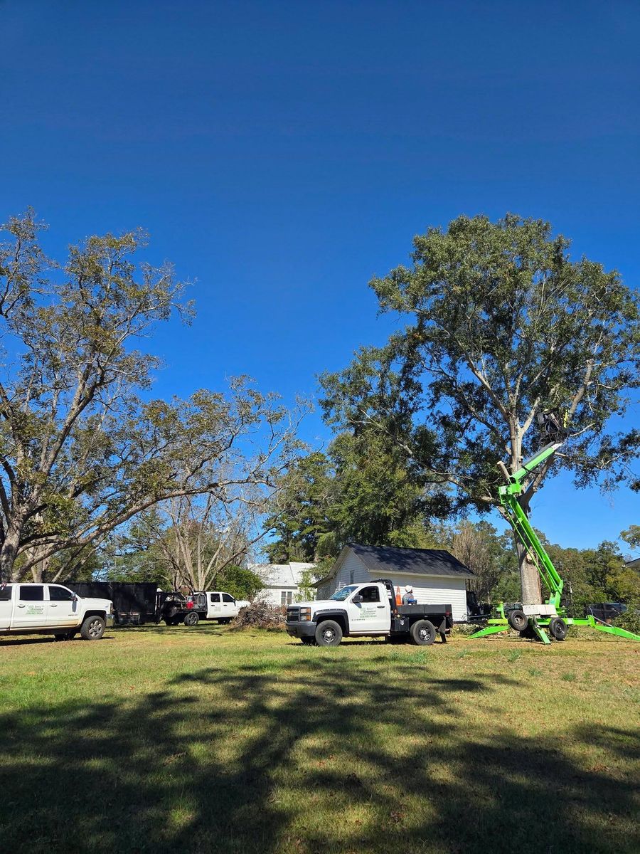 Tree Removal for Trees Unlimited of the CSRA in Augusta, GA