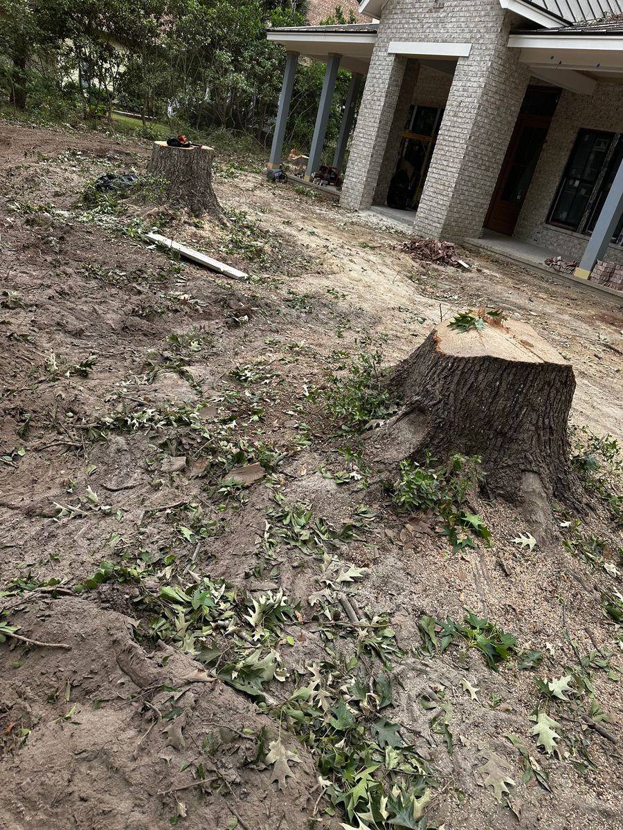 Stump Grinding for Iron Industries in Bluffton, SC