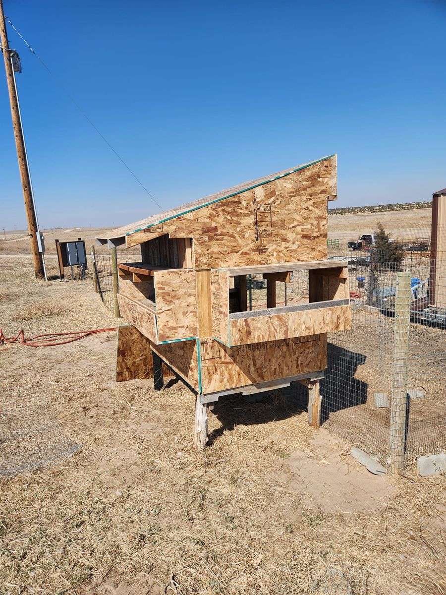 Custom Chicken Coops for M&N Fencing in Northeast Colorado, CO