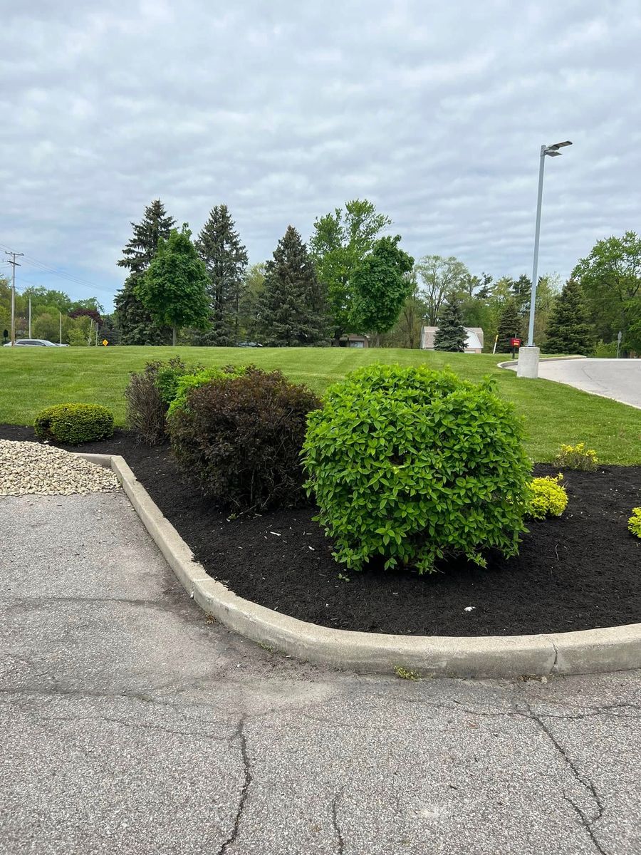 Tree & Shrub Care for Diamond Landscape Maintenance Corp. in Warsaw, IN