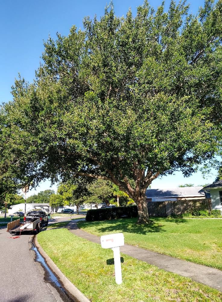 Land Clearing  for Tru Tree Service  in Ocala , FL 