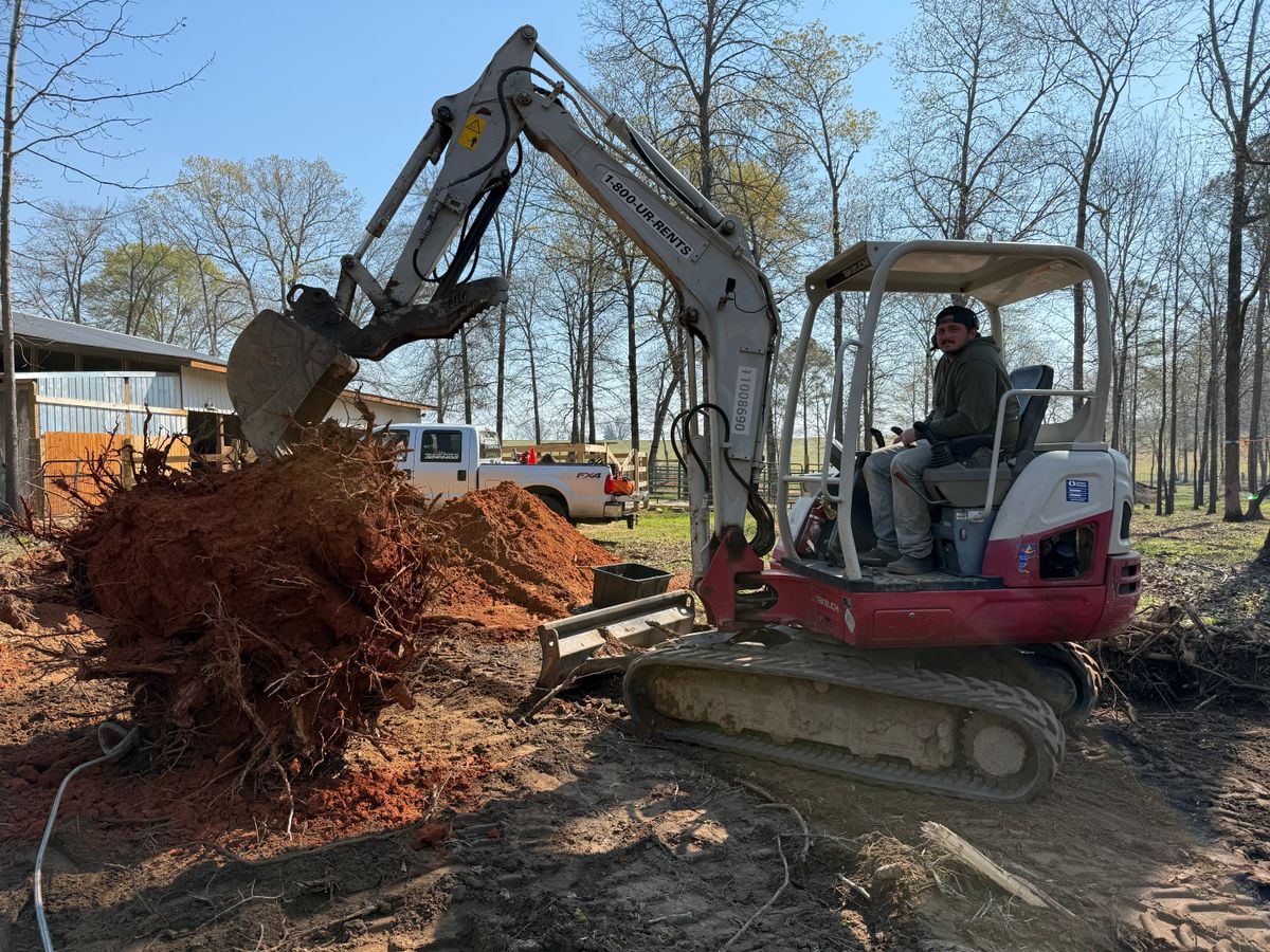 Stump Removal for T N L - Tree and Land Service in Reynolds, GA