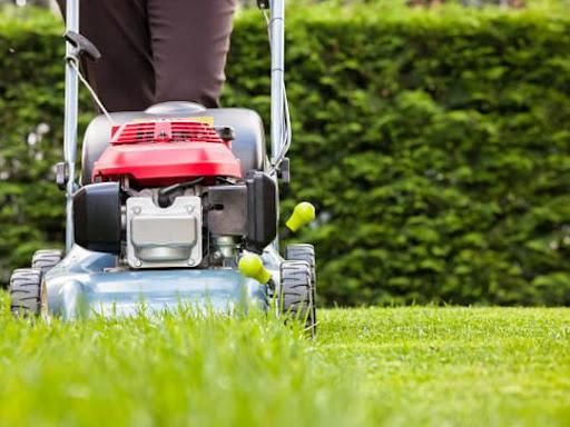 Lawn Maintenance for Bonita Bay Lawn Maintenance LLC in La Porte, TX