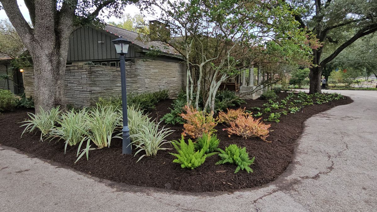 Fall Clean Up for Bruno's Professional Lawn's & Landscape in Beaumont, TX