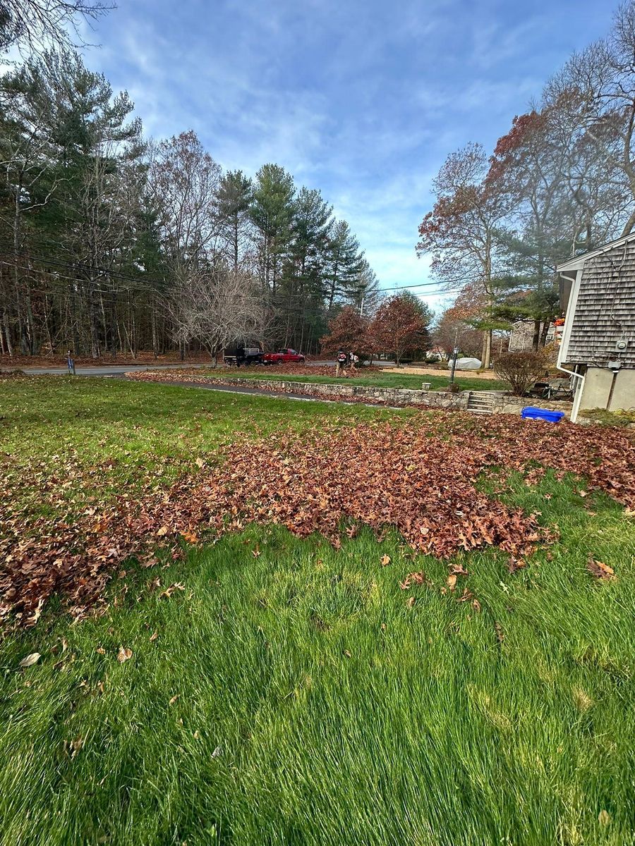 Shrub Trimming for Silver City Tree and Landscape in Taunton, MA