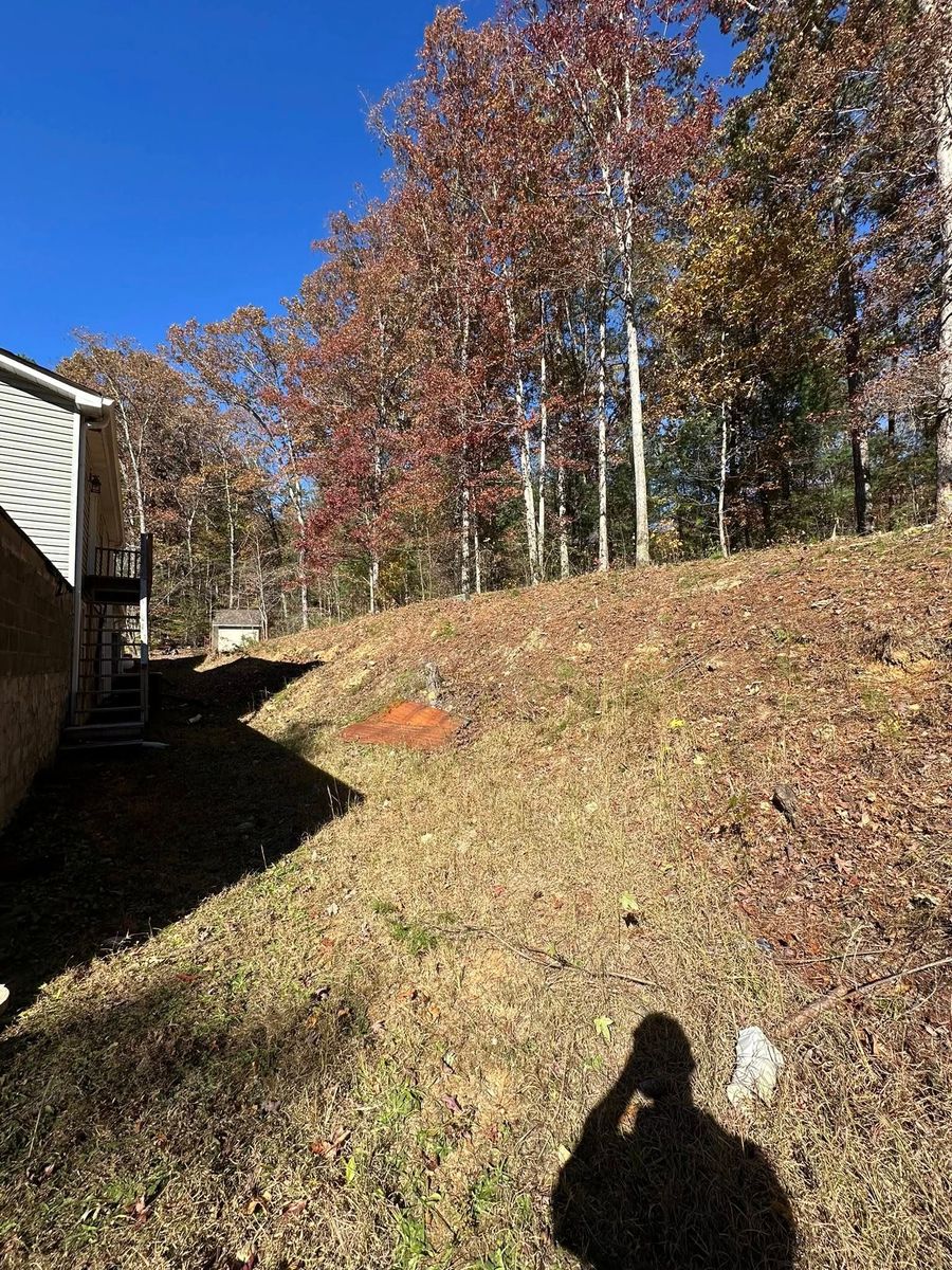 Fall Clean Up for SEALY TREE and LAWN in Cleveland, TN