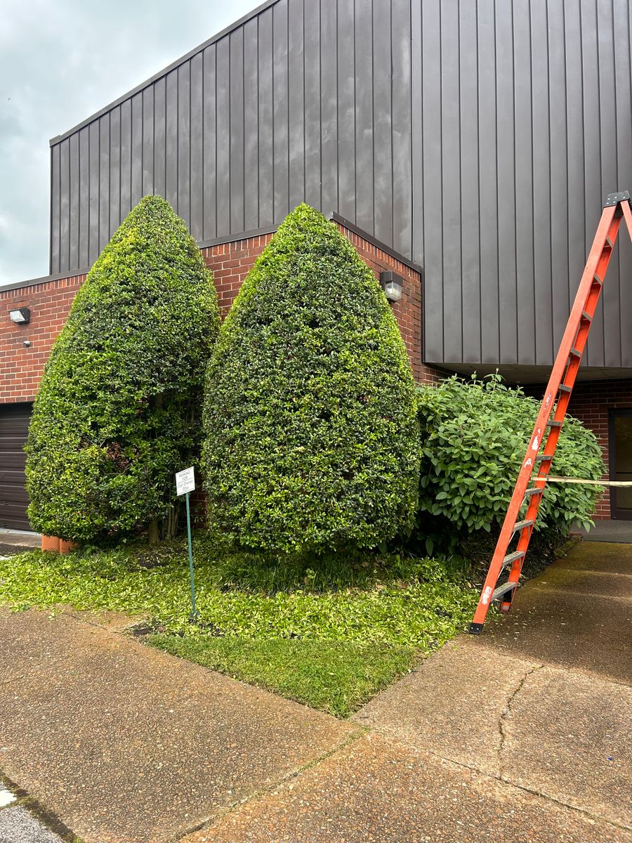 Shrub Trimming for Russell's Lawn Care Plus in Nashville, TN