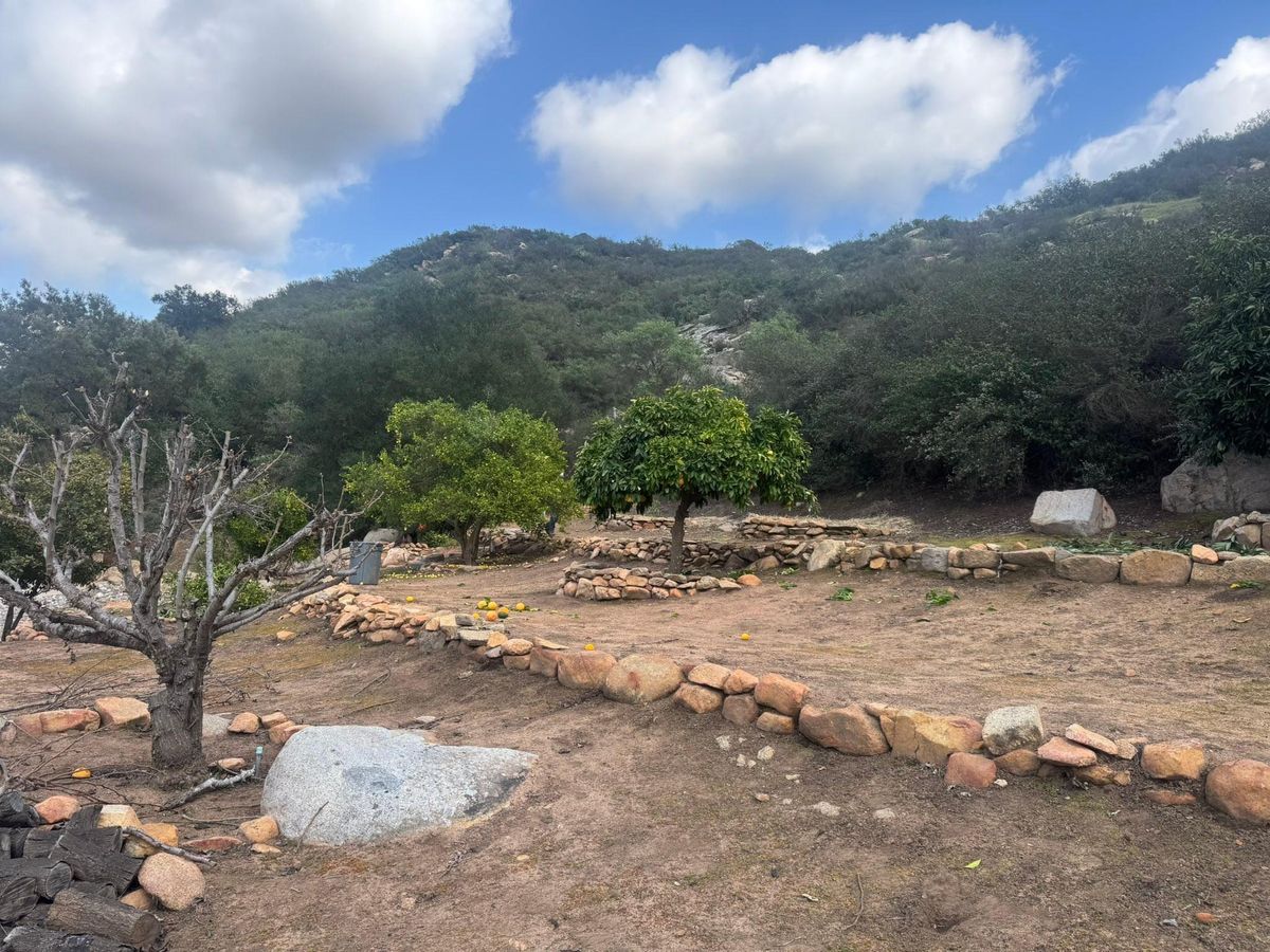 Property Beautification for The Tree Fairy in Julian, CA