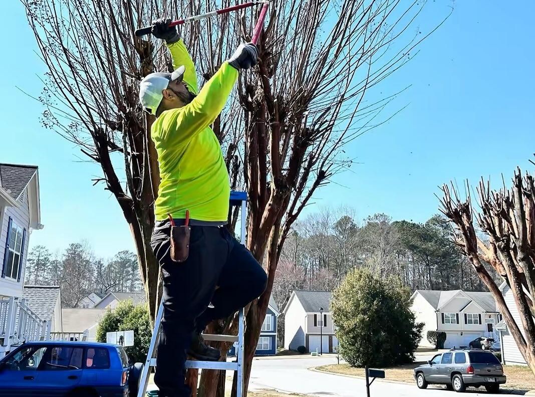 Maintenance for Two Brothers Landscaping in Atlanta, Georgia