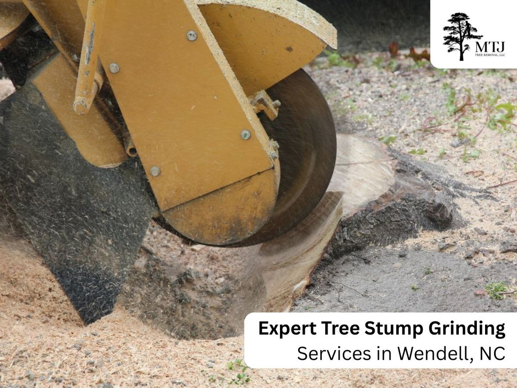 Stump Removal for MTJ Tree Removal LLC in Zebulon, NC