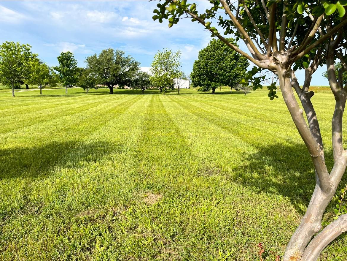 Fall Clean Up for Piña’s Lawncare in Limestone County, TX