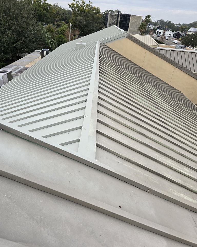 Roof Painting for Affordable Painting & Handy Services in Apopka, FL