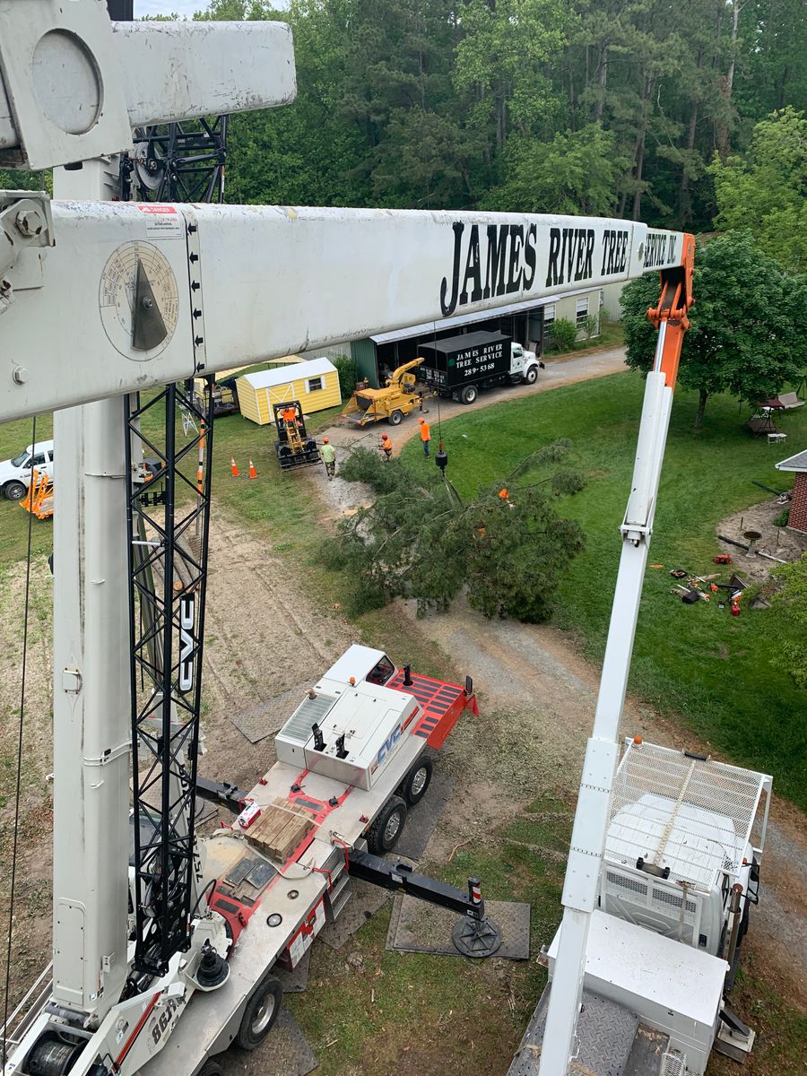 Tree Removal for James River Tree Service in Suffolk, VA