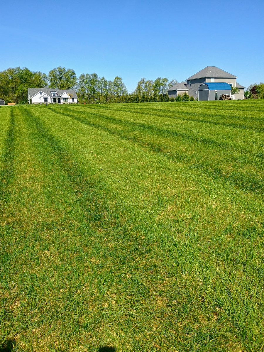Lawn Care and Maintenance for R&M Lawn Control in Defiance, OH