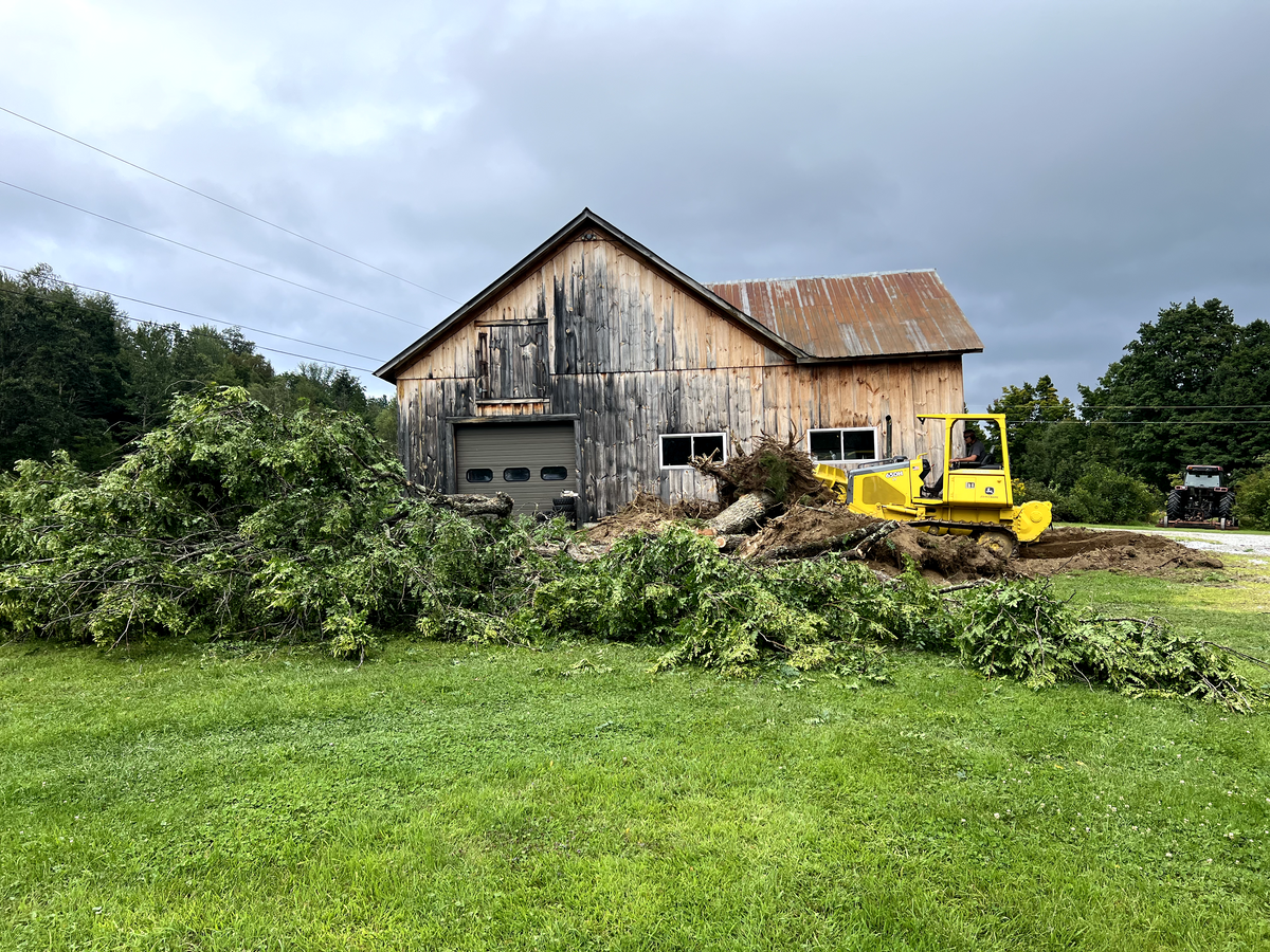 Dangerous Tree Removal for Andy Naylor Excavation in Stowe, VT