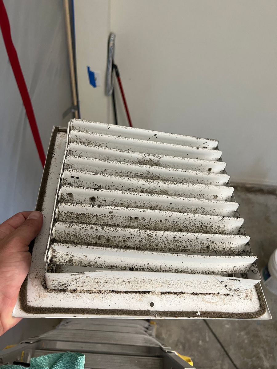 Mold Remediation for N&D Restoration Services: When Disaster Strikes, We Come In in Cape Coral,  FL
