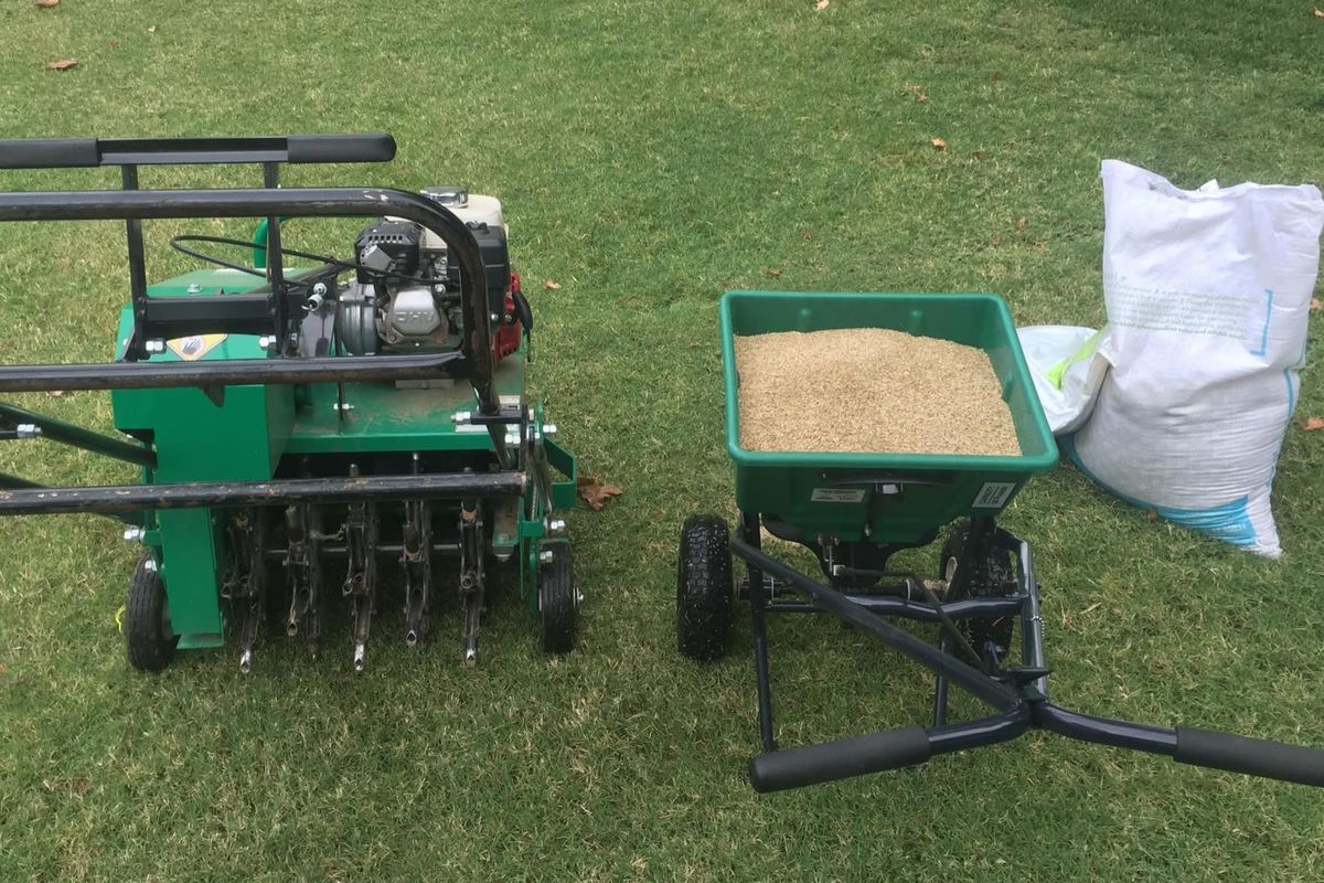 Overseeding for Healthy Roots Landscaping in Apex, NC