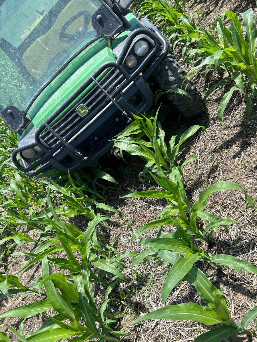 Spraying & Mowing for Two Young Bucks in Leon, IA