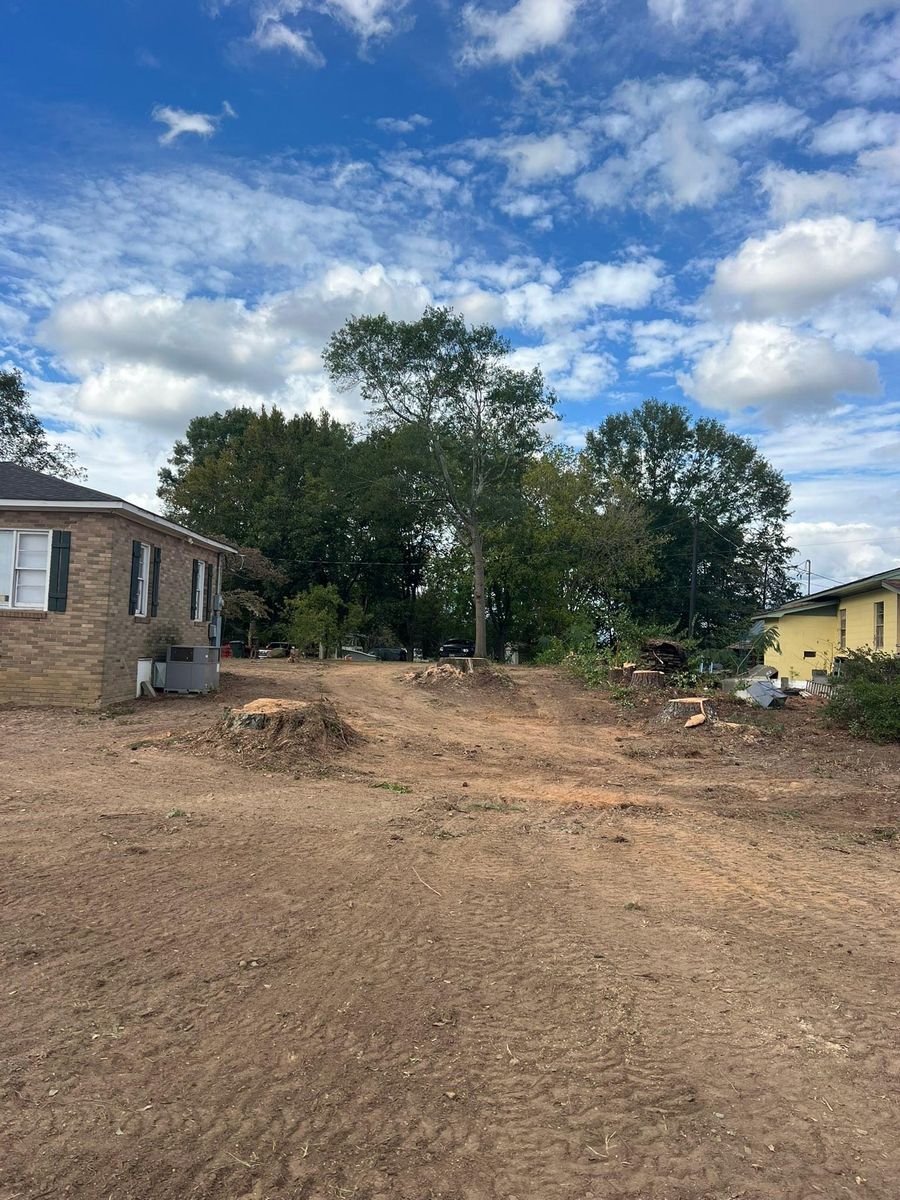 Fall Clean Up for Brooks Tree Service, LLC in Casar, NC