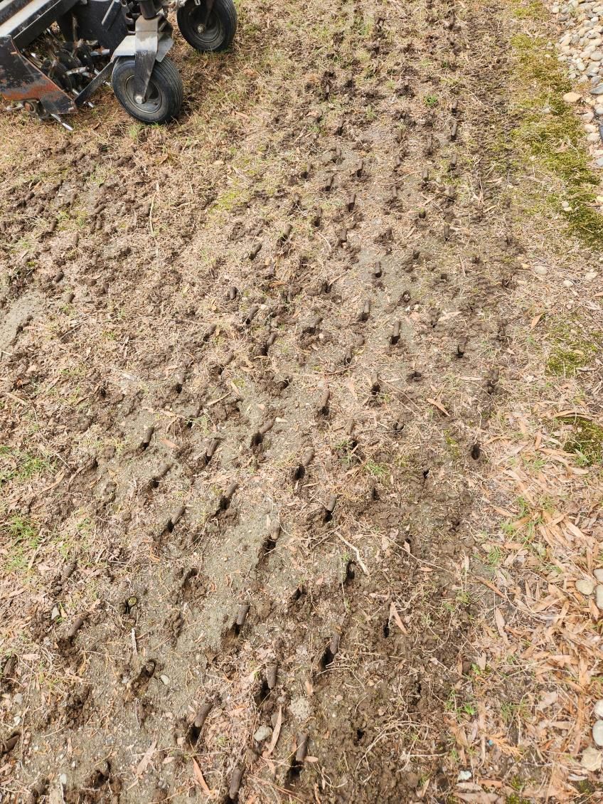 Lawn Aeration for RightLane Turf Management LLC in Wilson, NC