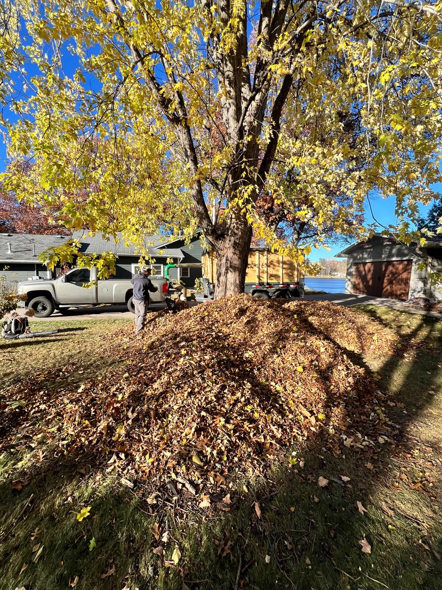 Yard Clean Up for Luke's Lawn Care and Landscape in Andover, MN