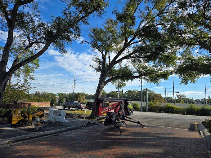 Tree Trimming for Near Me Tree Service, Inc. in DeLand, FL