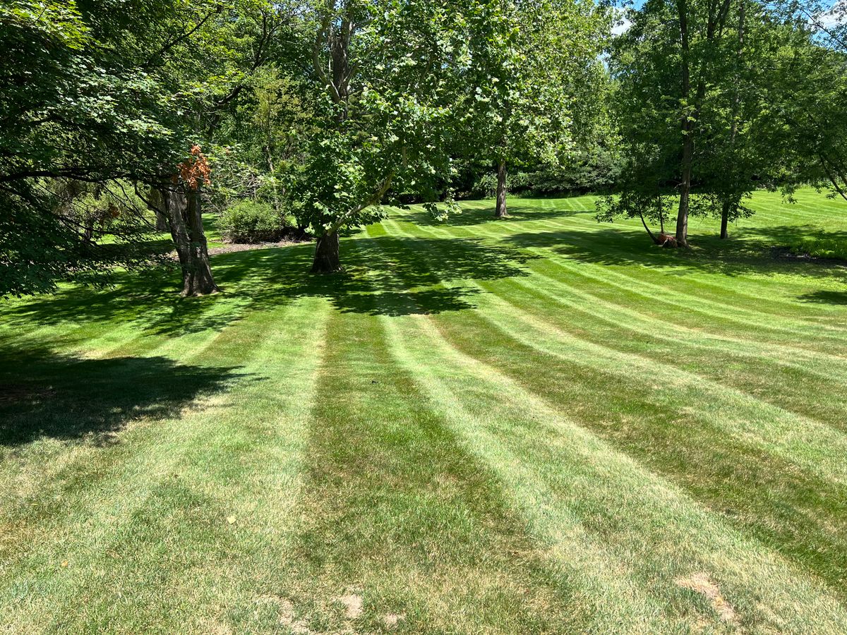 Lawn Aeration for Hammond Landscape in Okemos, MI