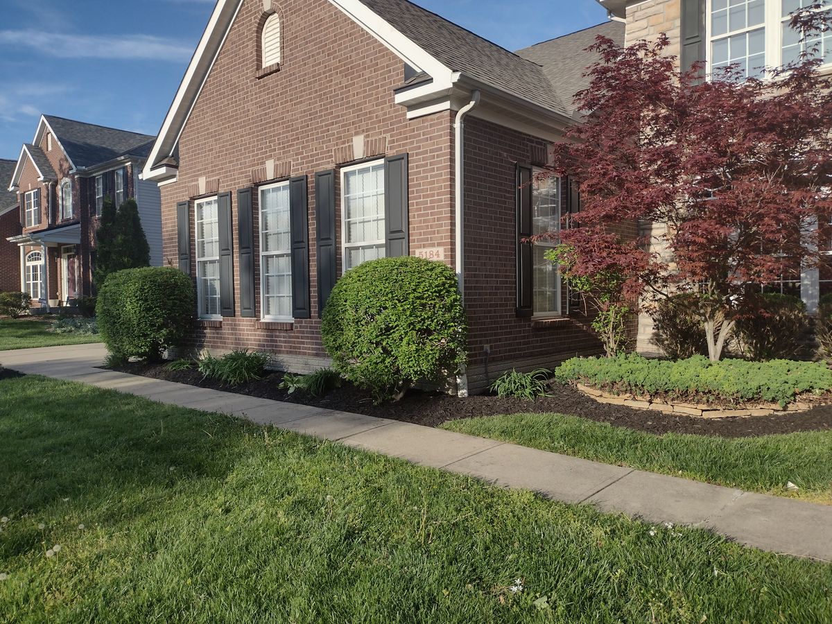 Mulch & Pine Straw Installation for Green Shoes Lawn & Landscape in Cincinnati, OH