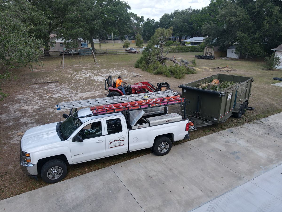 Tree Removal for Bills Tree Service in Valrico, FL