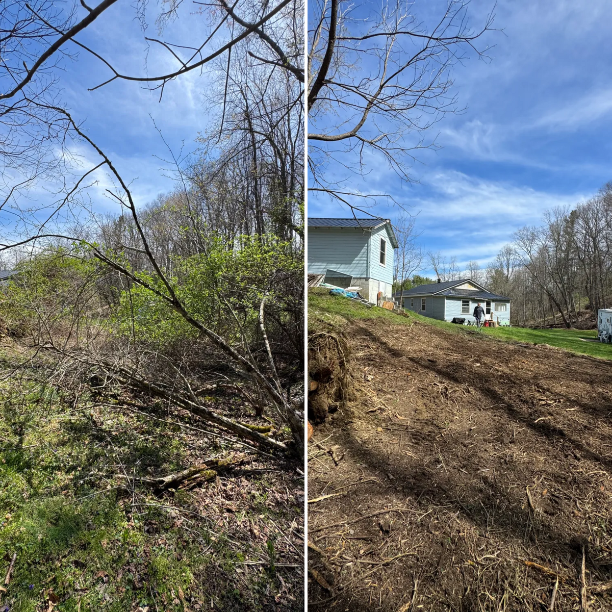 Vegetation Removal // Brush Removal for Mountain Goat Land Management in Galax, VA