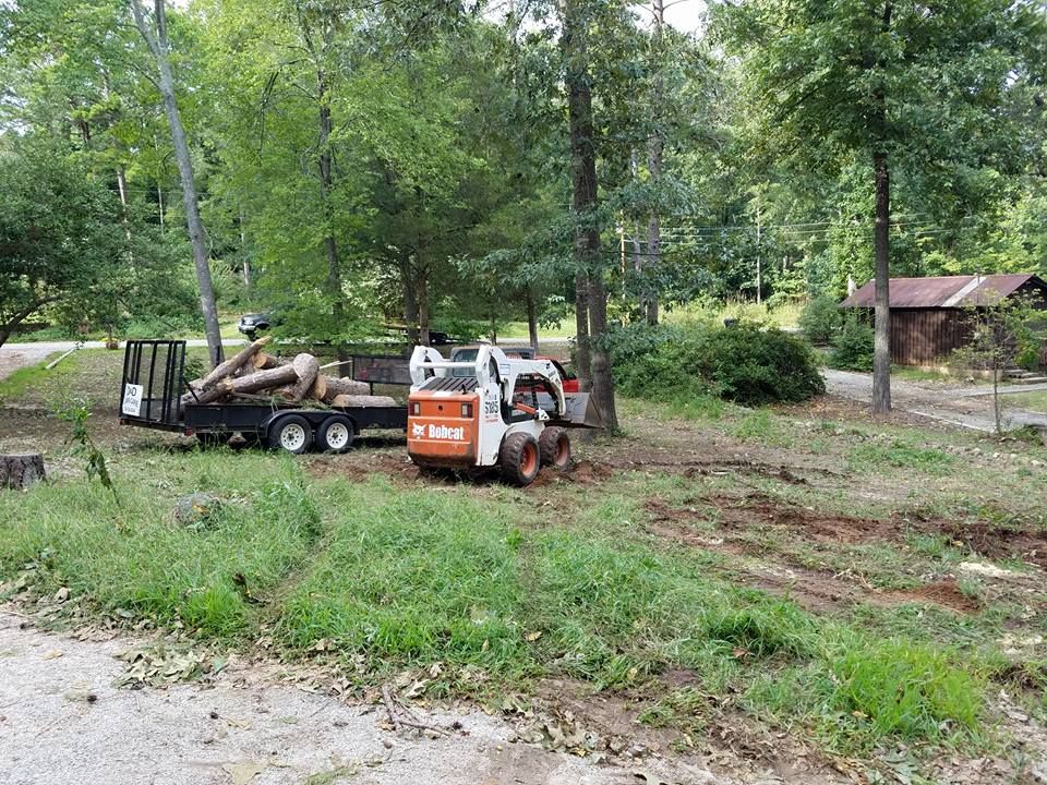 Tree removal for D&D Unlimited Landscaping in Hartwell, GA
