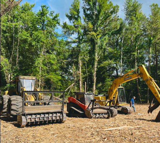 Land Clearing for Green Land Management in Mount Pleasant, TN