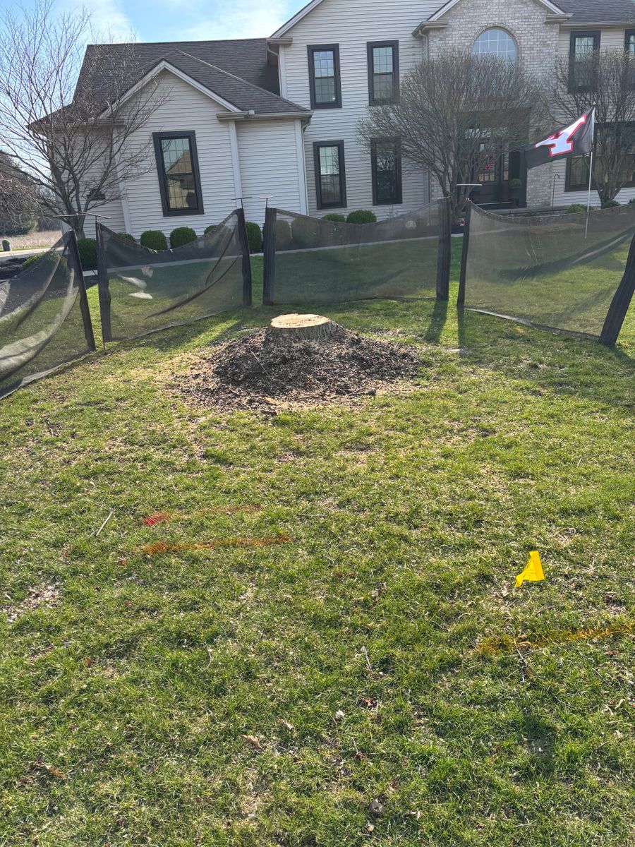 Stump Removal for Dean's Stump Removal in Youngstown, OH