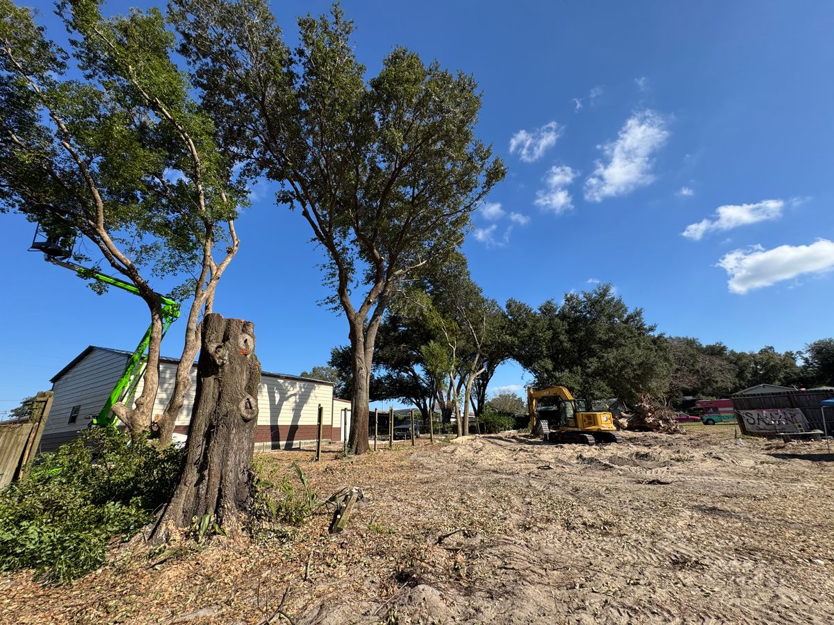 Land Clearing for Heverly Land Solutions in Winter Haven, FL