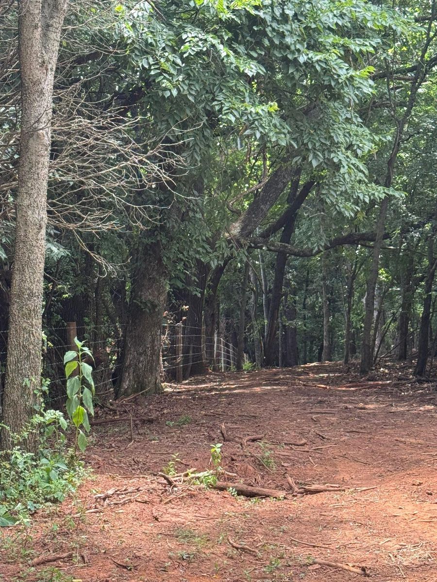 Land Clearing for Miller Farms Hay & Land Management in Knoxville, TN