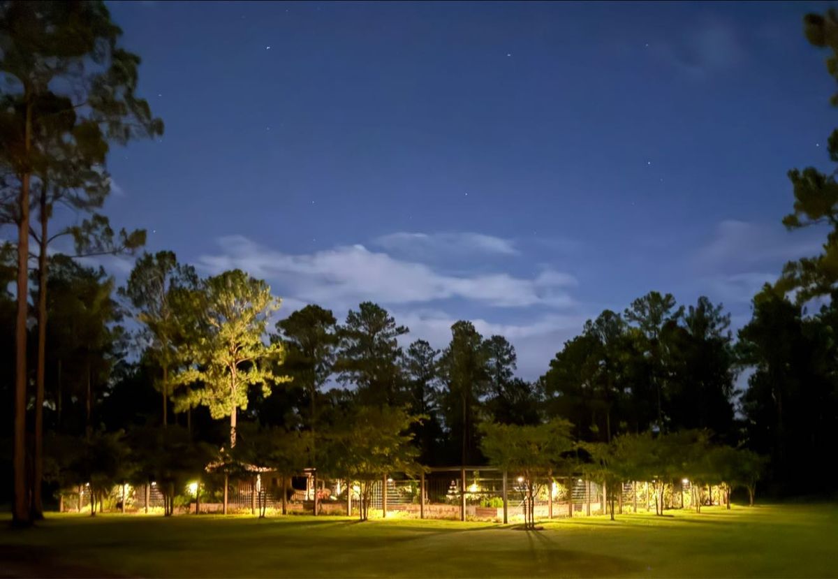 Landscape Design for Thomasville Lawn Care in Thomasville, GA