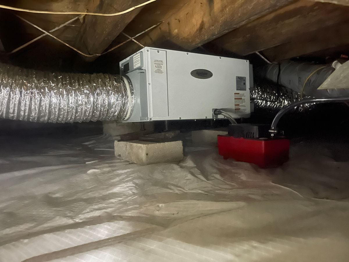 Crawl Space/Attic Renovation for All-In Pest Control & Home Solutions in Greene County, IN