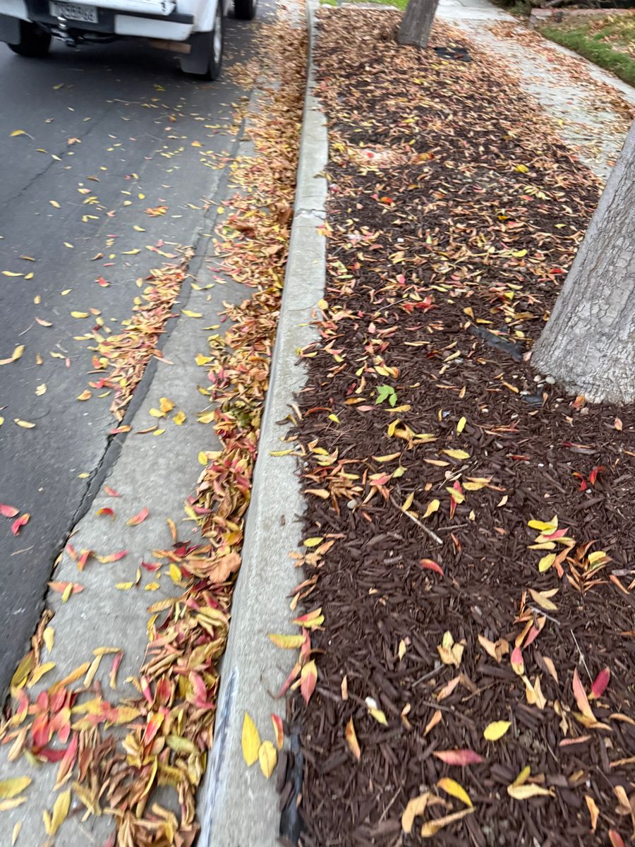 Mulch Installation for CBA Landscaping in Hayward, CA