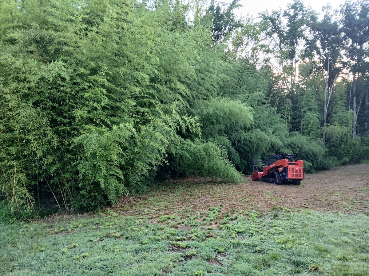 Skid Steer Work for Whiskey Ridge Mulching & Land Services in South Boston, VA