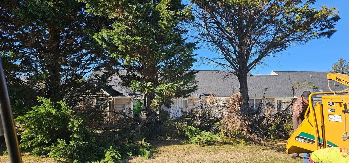 Emergency Tree Services for Hamlett Tree Service LLC in Clover, VA