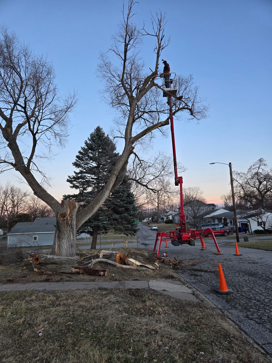 Tree Removal for Lawn Ranger Yard And Tree Service LLC in Ottumwa, IA