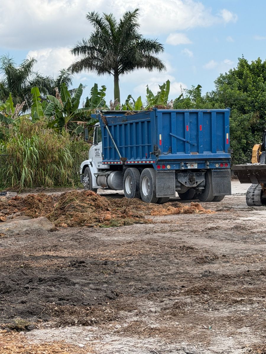 Excavation for Nurry Tree Services in Miami, FL