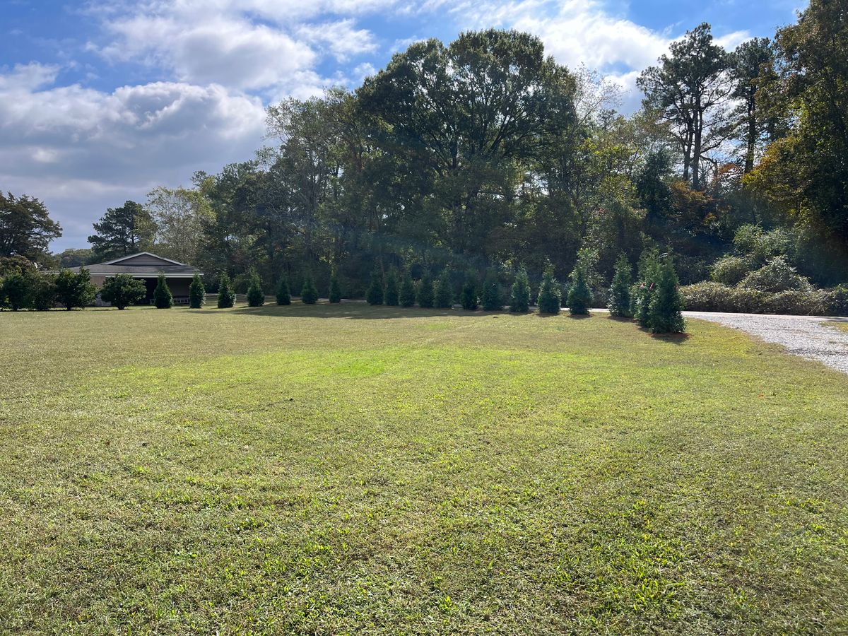 Tree and Shrub Installation for Atlas Home Services in Mechanicsville, VA