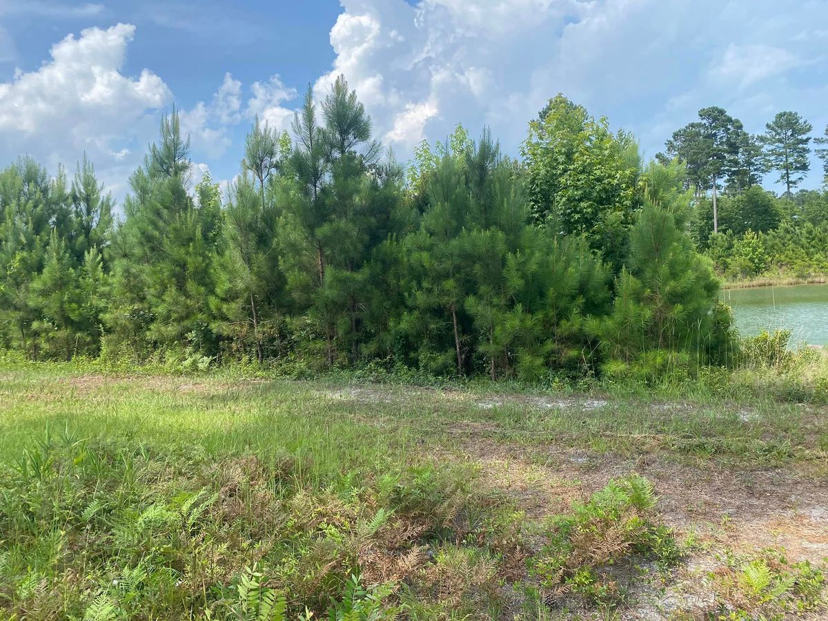 Land Clearing for Golden Isles Greenery in Brunswick, GA