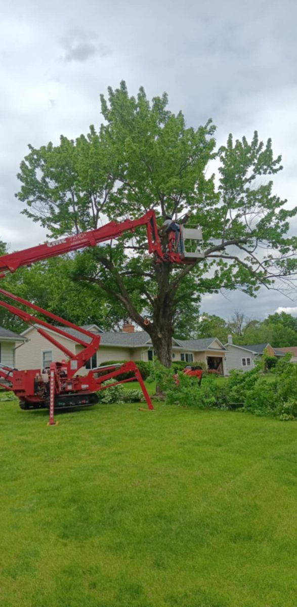 Tree Trimming for Lawn Ranger Yard And Tree Service LLC in Ottumwa, IA