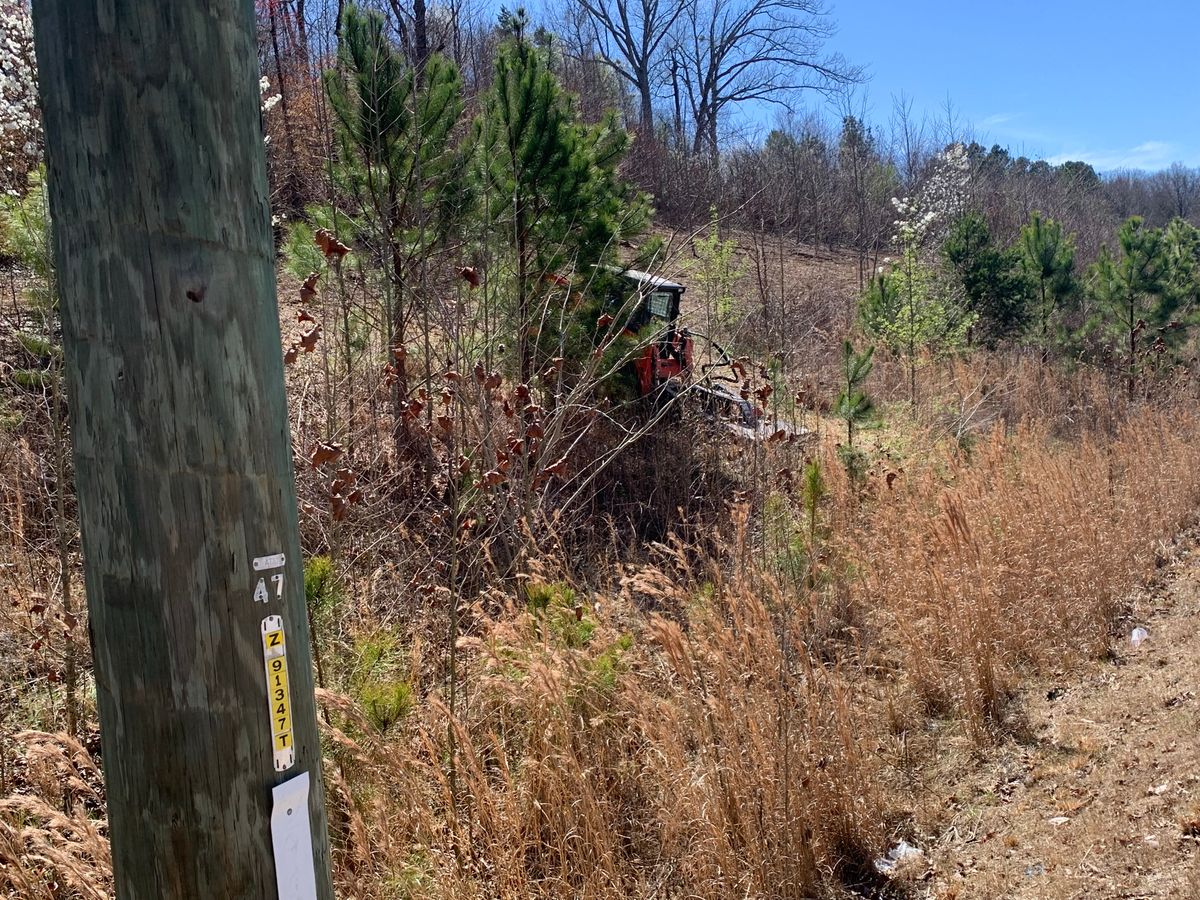 Land Clearing & Demolition for J.P Landscaping and excavation in Chattanooga, TN