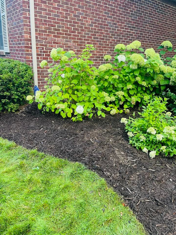 Sod Installation for Mulch & Dig in West Bloomfield Township, MI